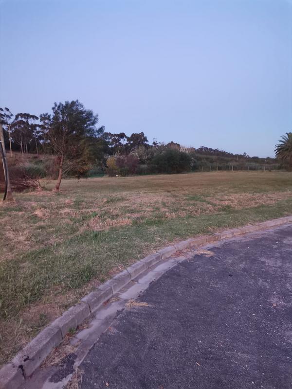 0 Bedroom Property for Sale in Albertinia Western Cape